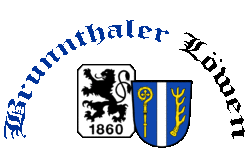 Brunnthaler Löwen e.V.